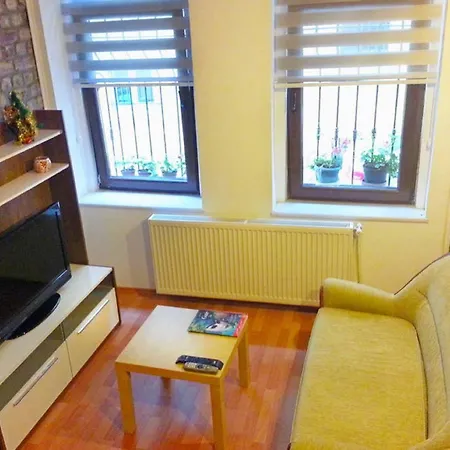 Sunflower Daire *
